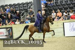 24BUCK_10195 proof