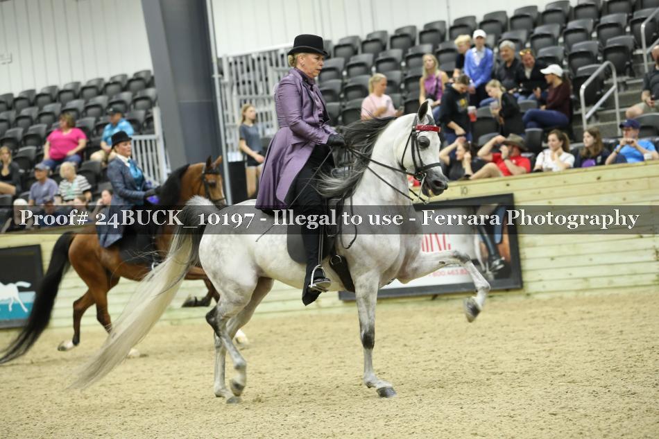 Proof 24BUCK_10197