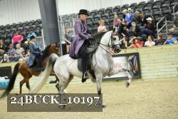 24BUCK_10197 proof