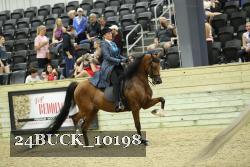 24BUCK_10198 proof