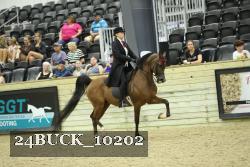 24BUCK_10202 proof