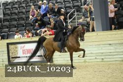 24BUCK_10203 proof