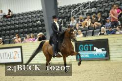 24BUCK_10207 proof