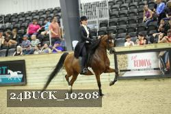 24BUCK_10208 proof