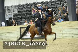 24BUCK_10209 proof