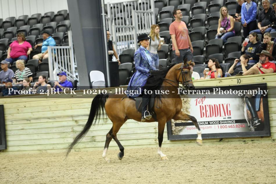 Proof 24BUCK_10210