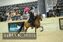 24BUCK_10212 proof