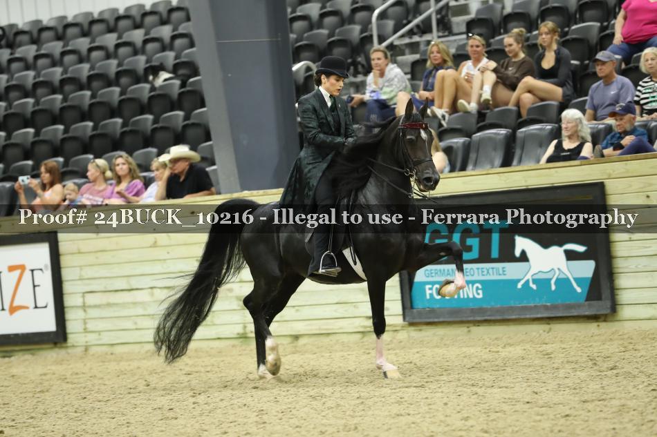 Proof 24BUCK_10216