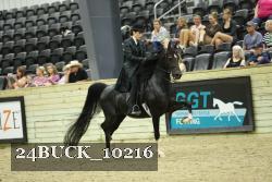 24BUCK_10216 proof