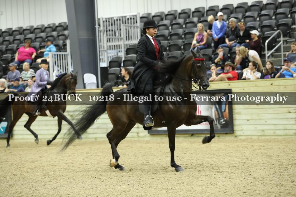 Proof 24BUCK_10218