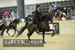 24BUCK_10218 proof