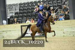 24BUCK_10220 proof