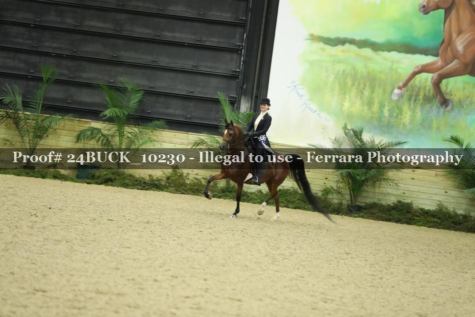 Proof 24BUCK_10230