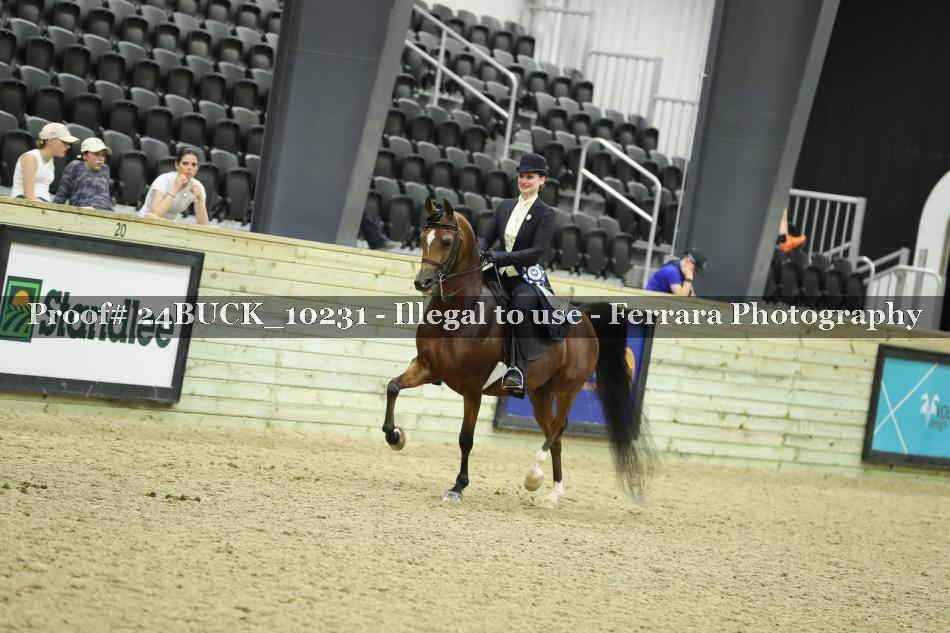 Proof 24BUCK_10231