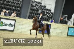 24BUCK_10231 proof