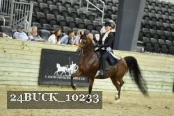 24BUCK_10233 proof