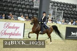24BUCK_10234 proof
