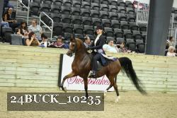 24BUCK_10235 proof