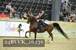 24BUCK_10236 proof