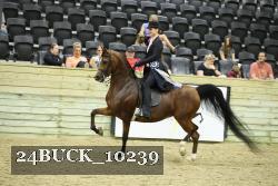 24BUCK_10239 proof