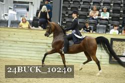 24BUCK_10240 proof
