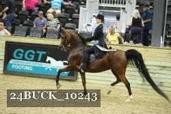 24BUCK_10243 proof