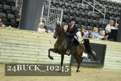 24BUCK_10245 proof