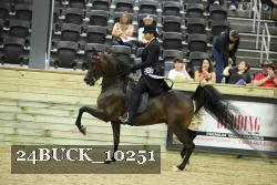 24BUCK_10251 proof