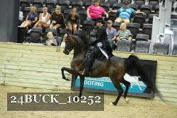24BUCK_10252 proof