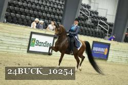 24BUCK_10254 proof