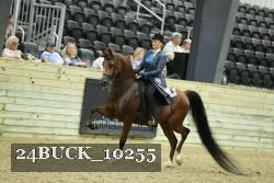 24BUCK_10255 proof