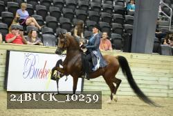 24BUCK_10259 proof