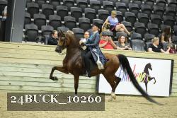 24BUCK_10260 proof