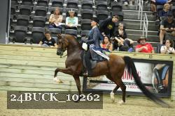 24BUCK_10262 proof
