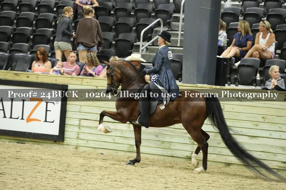 Proof 24BUCK_10264