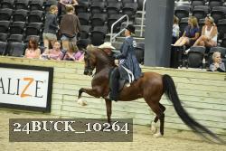 24BUCK_10264 proof