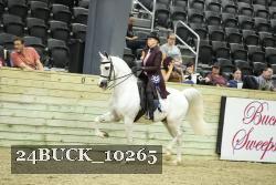 24BUCK_10265 proof