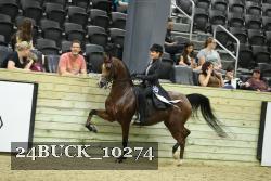 24BUCK_10274 proof