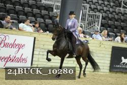 24BUCK_10280 proof