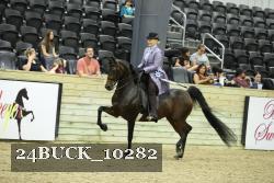24BUCK_10282 proof