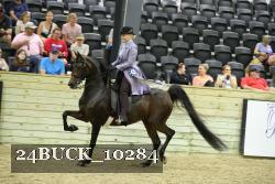 24BUCK_10284 proof