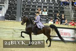 24BUCK_10287 proof