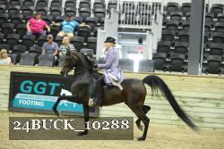24BUCK_10288 proof