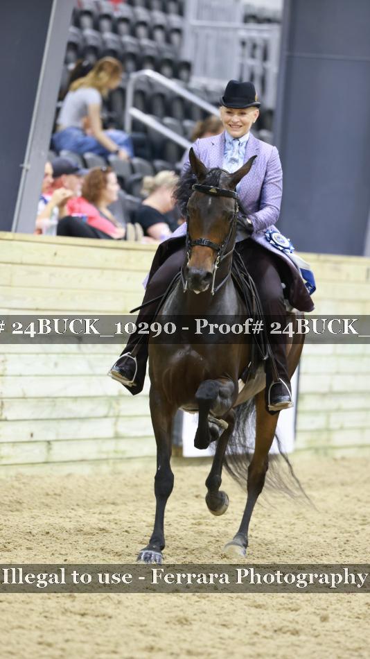 Proof 24BUCK_10290