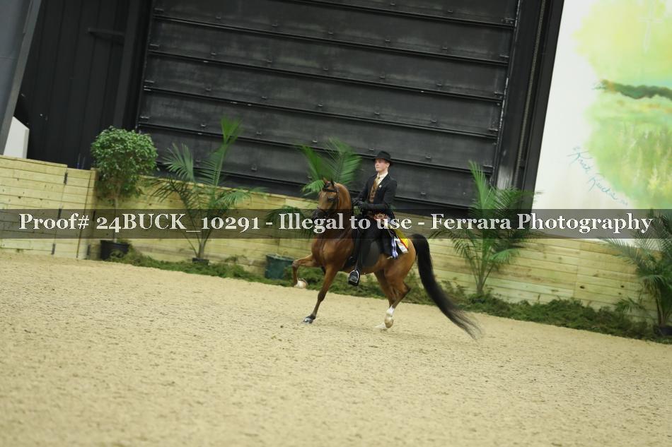 Proof 24BUCK_10291