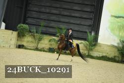 24BUCK_10291 proof