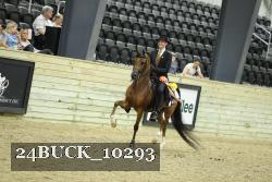 24BUCK_10293 proof
