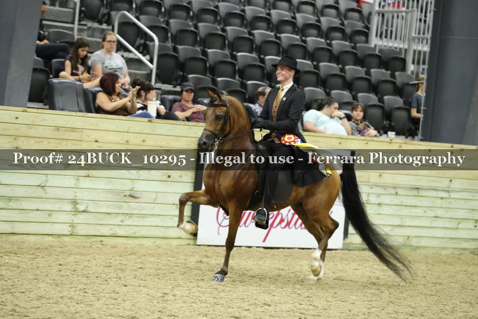 Proof 24BUCK_10295