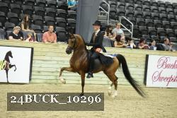 24BUCK_10296 proof
