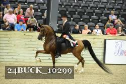 24BUCK_10299 proof